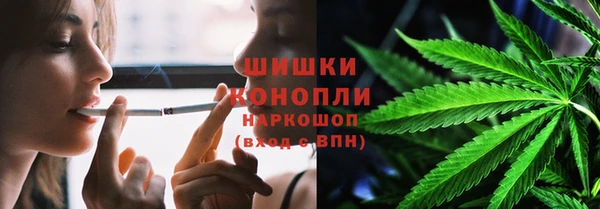 молекула духа Белоозёрский