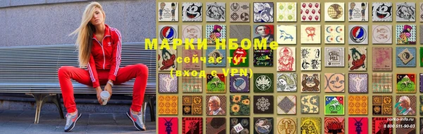гидропоника Новозыбков
